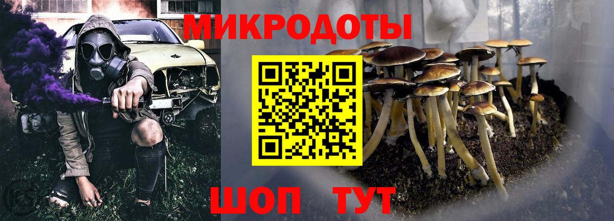 Псилоцибиновые грибы прущие грибы Великий Новгород