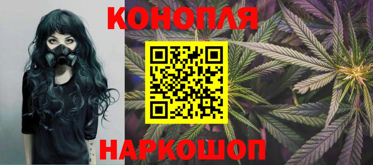 Великий Новгород  Марихуана сатива  Шишки марихуана планчик  Марихуана OG Kush  Вход с VPN 